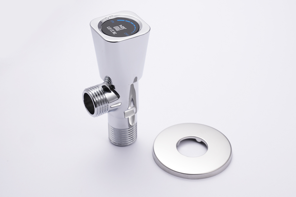 DSC08970.JPG